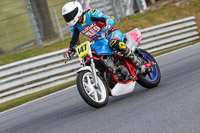 brands-hatch-photographs;brands-no-limits-trackday;cadwell-trackday-photographs;enduro-digital-images;event-digital-images;eventdigitalimages;no-limits-trackdays;peter-wileman-photography;racing-digital-images;trackday-digital-images;trackday-photos